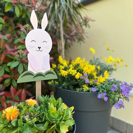 Domus Silvana Apartment